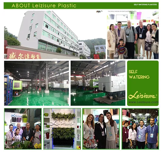 Durable Vintage Plastic Flowerpot Medium Square Curved Tree Planter Decoration 