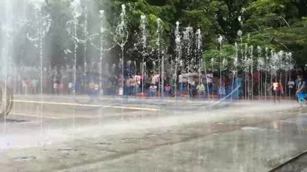 Combination Type Multimedia Music Water Fountains 