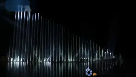 Combination Type Multimedia Music Water Fountains