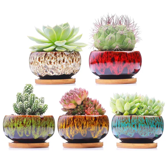 Cute Ceramic Succulent Garden Pots Drainage Attached Saucer Planter 